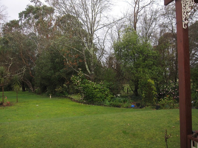 5 Withams  Road, Yinnar VIC 3869