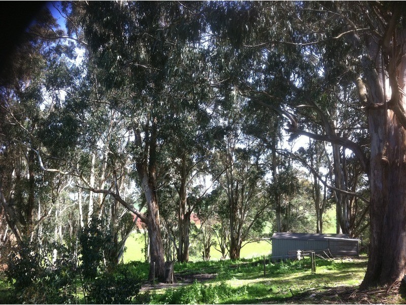 45 Wembridges Road, Mirboo North VIC 3871