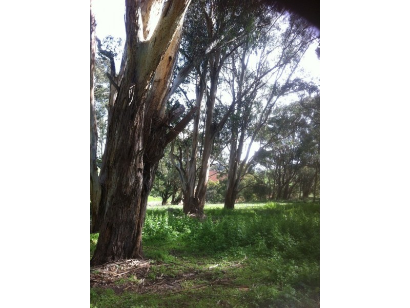 45 Wembridges Road, Mirboo North VIC 3871