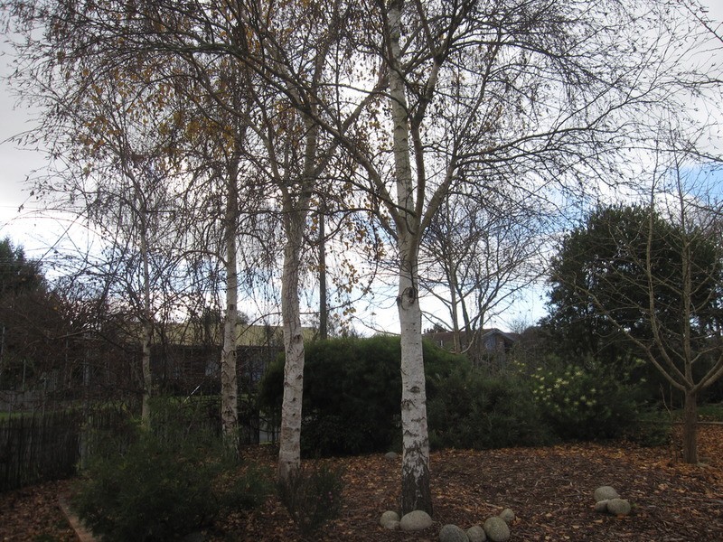 2 St James  Drive, Yinnar VIC 3869