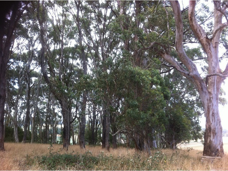 Lot 2/10  Mile Creek Road, Mirboo North VIC 3871