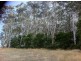 Lot 2/10  Mile Creek Road, Mirboo North VIC 3871