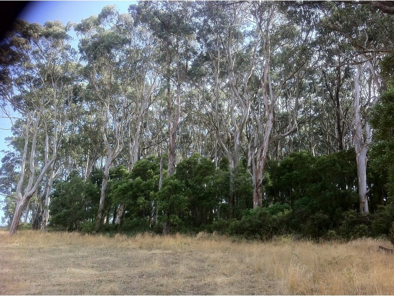 Lot 2/10  Mile Creek Road, Mirboo North VIC 3871