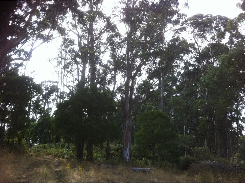Lot 2/10  Mile Creek Road, Mirboo North VIC 3871