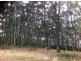 Lot 2/10  Mile Creek Road, Mirboo North VIC 3871