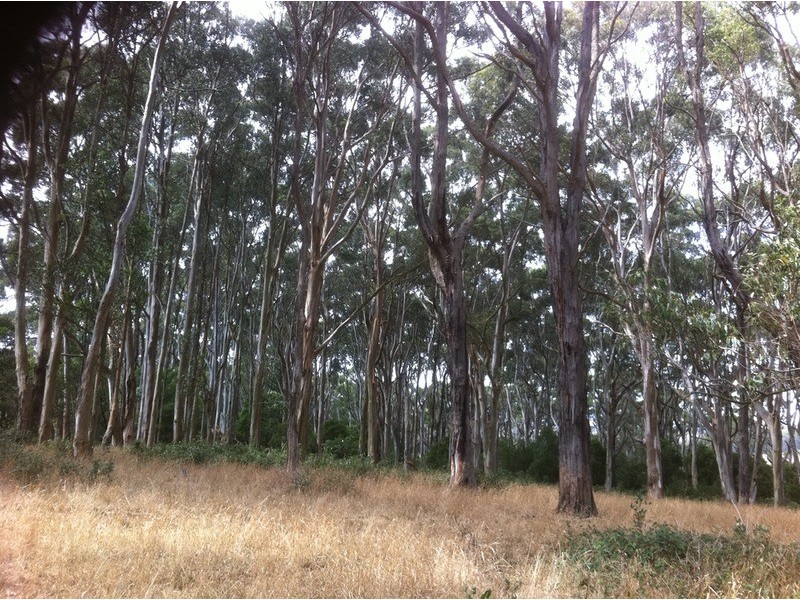 Lot 2/10  Mile Creek Road, Mirboo North VIC 3871