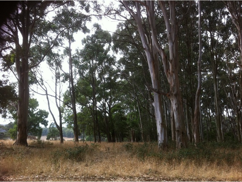 Lot 2/10  Mile Creek Road, Mirboo North VIC 3871