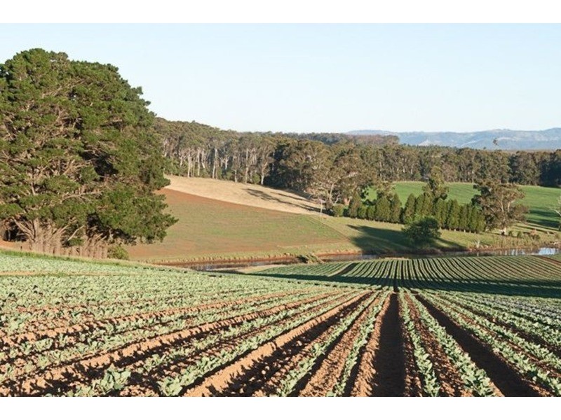 1870 Strezlecki Highway, Mirboo North VIC 3871