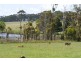 1870 Strezlecki Highway, Mirboo North VIC 3871