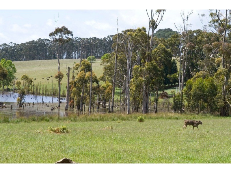 1870 Strezlecki Highway, Mirboo North VIC 3871