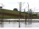 1870 Strezlecki Highway, Mirboo North VIC 3871