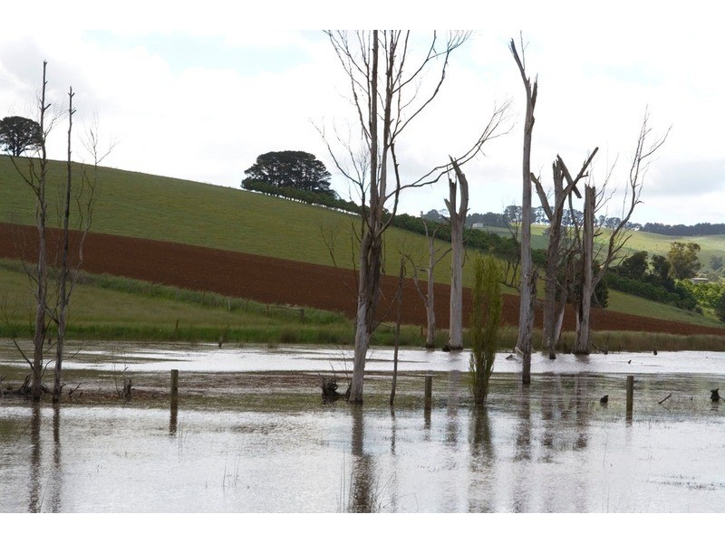 1870 Strezlecki Highway, Mirboo North VIC 3871
