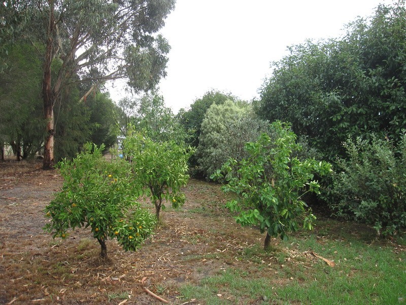 32 Considine  Drive, Yinnar South VIC 3869