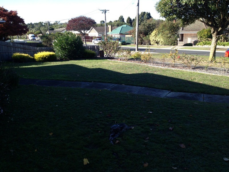 103 Elgin  Street, Morwell VIC 3840