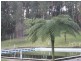 21  Giles  Street, Mirboo North VIC 3871