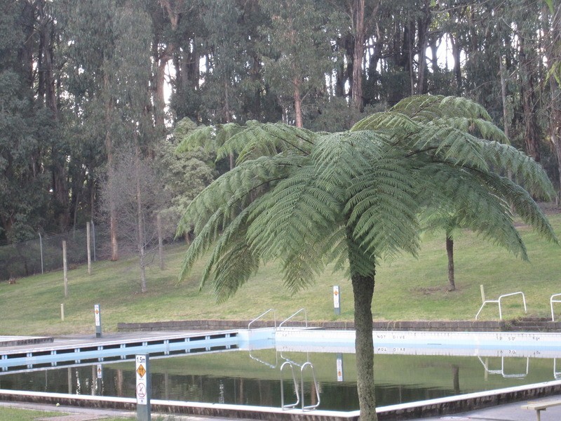 21  Giles  Street, Mirboo North VIC 3871