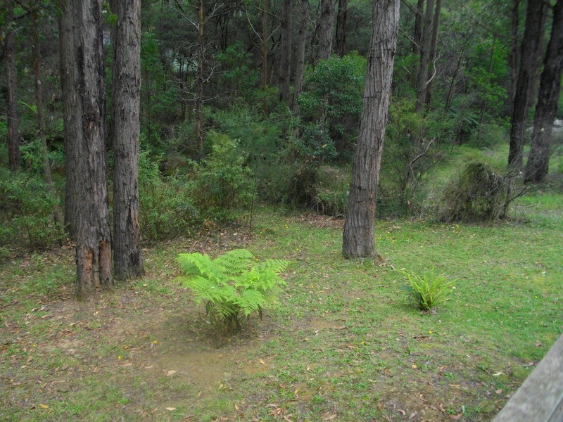36 Balook Street, Mirboo North VIC 3871