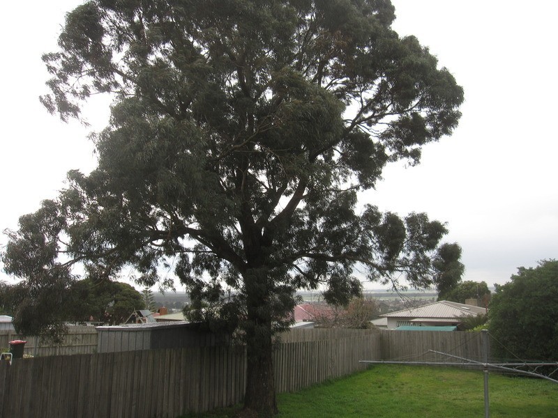 8 Butters Street, Morwell VIC 3840