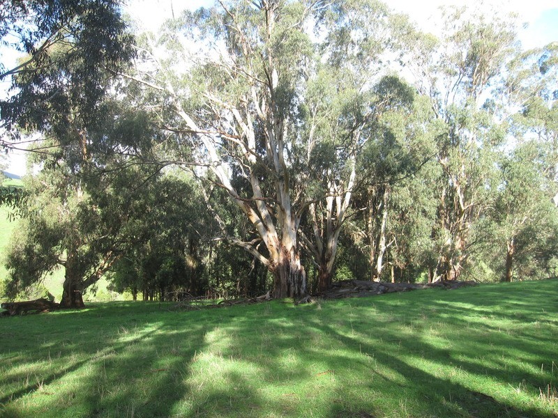 Lot /1 Healey’s  Road, Yinnar South VIC 3869