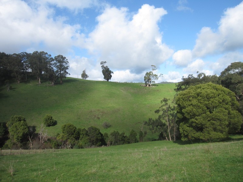 Lot /1 Healey’s  Road, Yinnar South VIC 3869