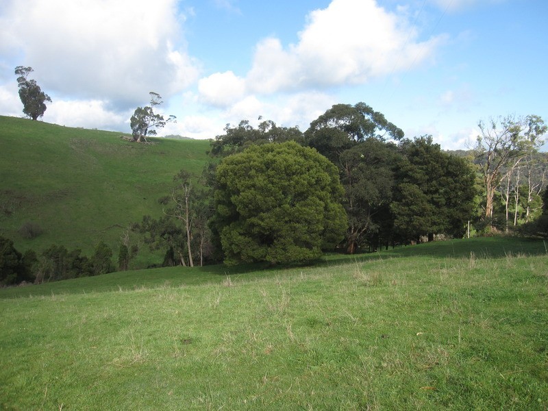 Lot /1 Healey’s  Road, Yinnar South VIC 3869