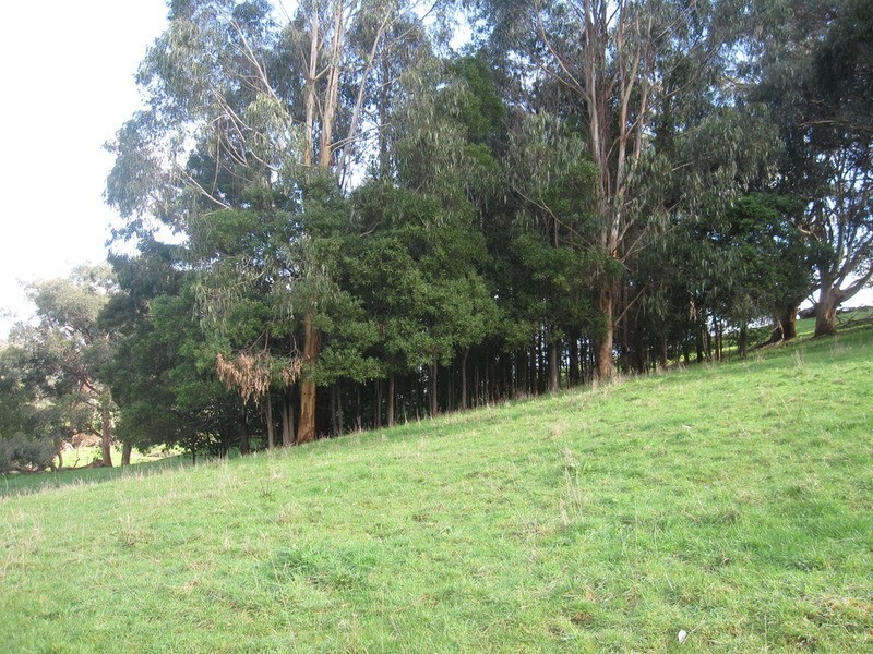 Lot /1 Healey’s  Road, Yinnar South VIC 3869