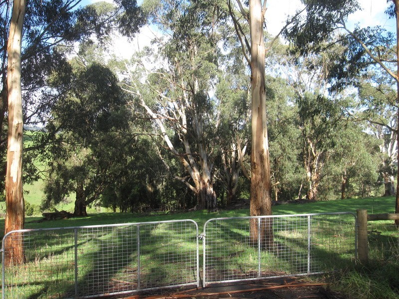 Lot /1 Healey’s  Road, Yinnar South VIC 3869