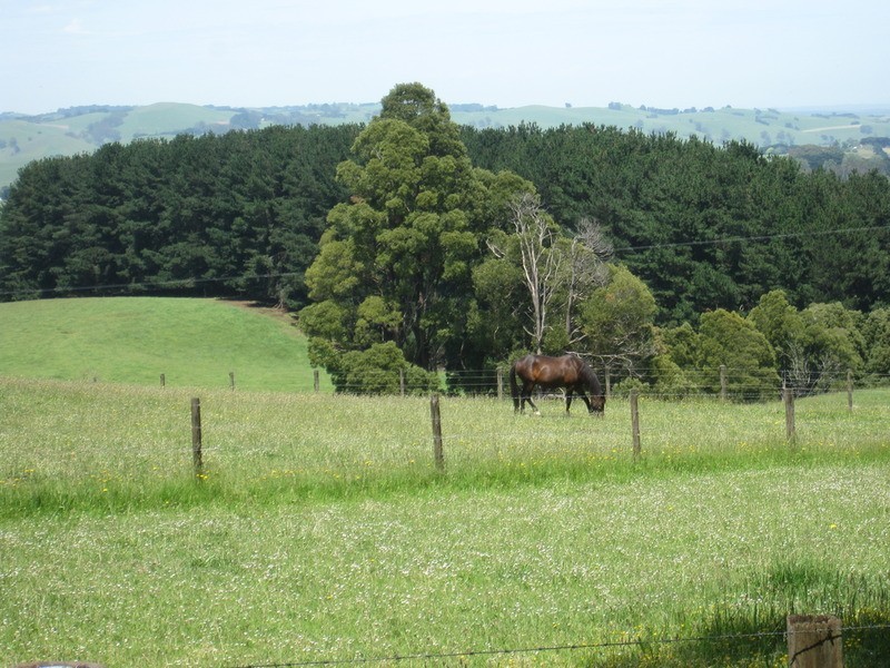 1430 Grandridge Road, Boolarra South VIC 3870