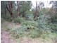 1 Wells Road, Mirboo North VIC 3871