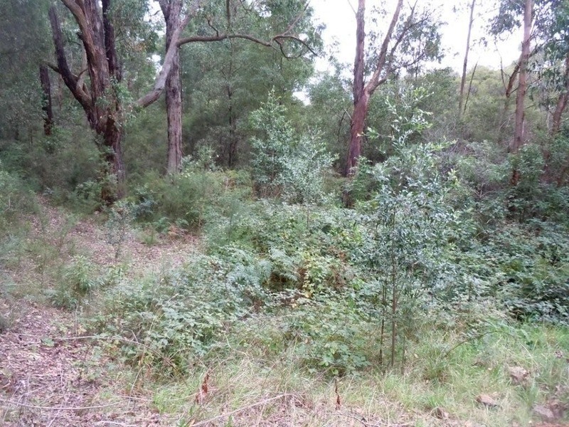 1 Wells Road, Mirboo North VIC 3871