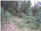 1 Wells Road, Mirboo North VIC 3871
