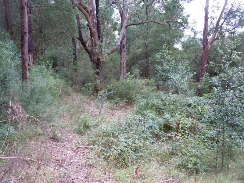 1 Wells Road, Mirboo North VIC 3871