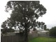 8 Butters Street, Morwell VIC 3840