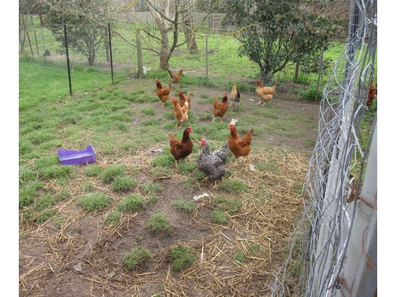 21 Seven Mile Road, Trafalgar VIC 3824