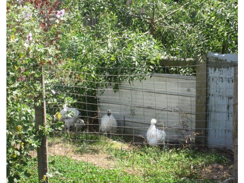 21 Seven Mile Road, Trafalgar VIC 3824