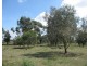 Lot 1/21 Seven Mile Road, Trafalgar VIC 3824
