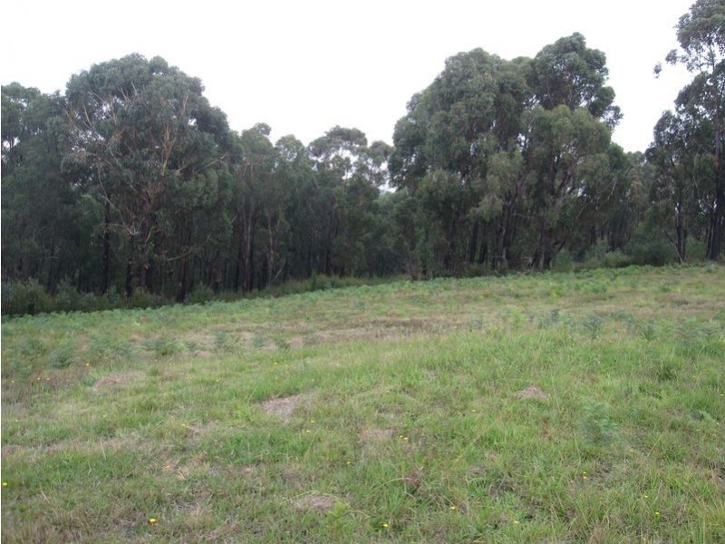 8 Gilfedder Terrace, Mirboo North VIC 3871