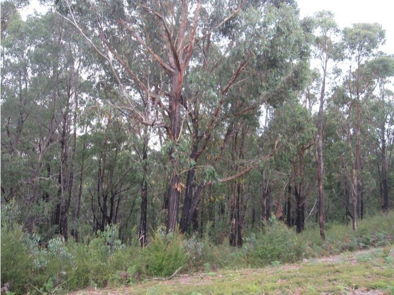 8 Gilfedder Terrace, Mirboo North VIC 3871