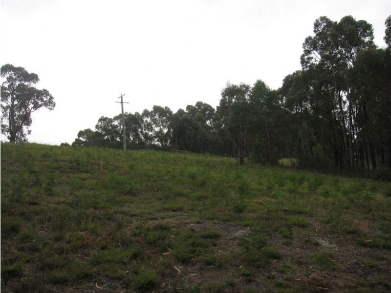 8 Gilfedder Terrace, Mirboo North VIC 3871