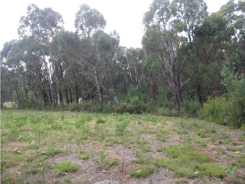 8 Gilfedder Terrace, Mirboo North VIC 3871