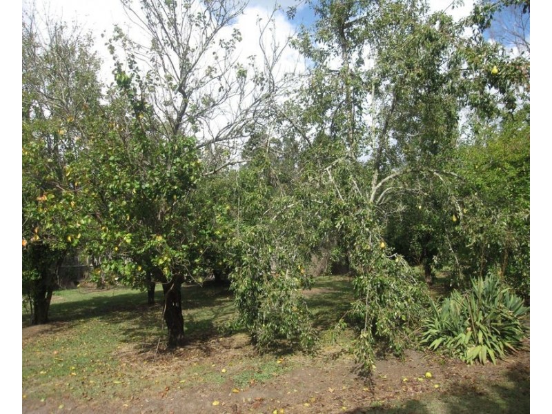 38 Penaluna Street, Boolarra VIC 3870