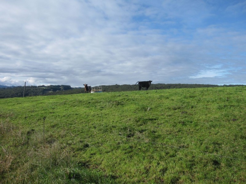 625 Limonite Road, Boolarra VIC 3870