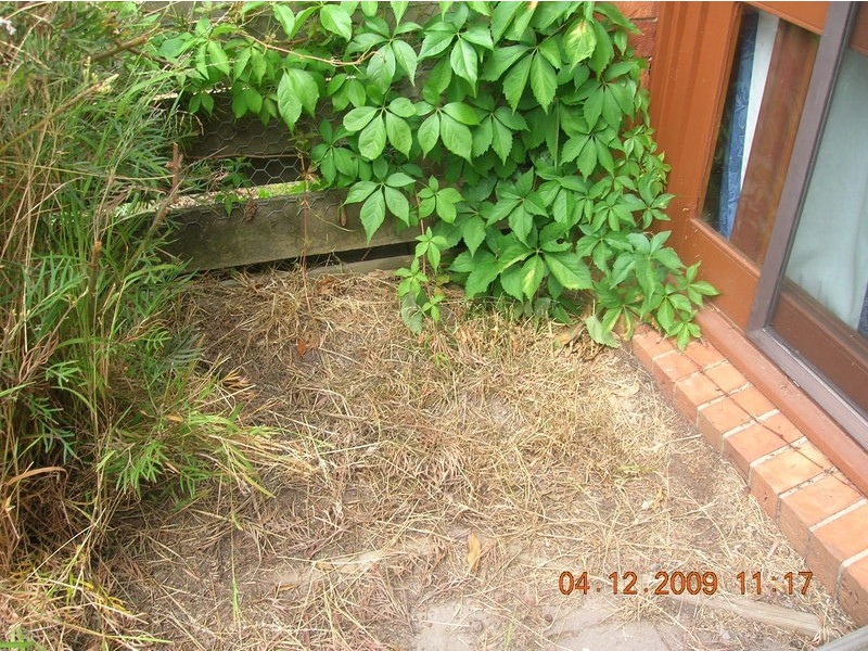 54 Dell Circuit, Morwell VIC 3840