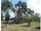 Lot Lot A, 21 Seven Mile Road, Trafalgar VIC 3824