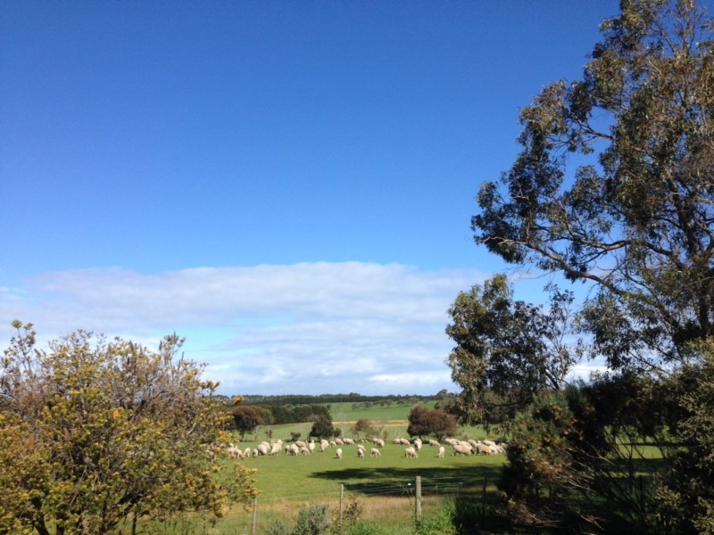 1892/1894 Bellarine Highway, Marcus Hill VIC 3222