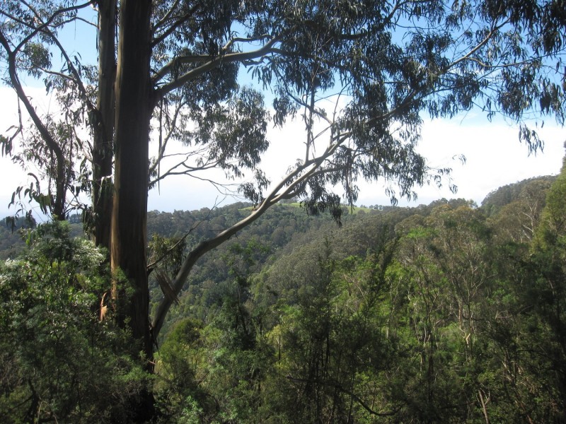 50 Reidy’s Road, Jeeralang Junction VIC 3840