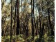 Lot 1 Whitelaws Track, Budgeree VIC 3870