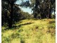 Lot 1 Whitelaws Track, Budgeree VIC 3870