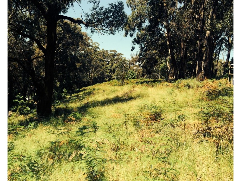 Lot 1 Whitelaws Track, Budgeree VIC 3870