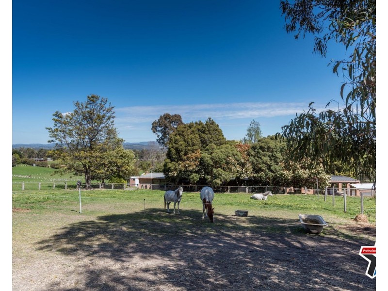 2 Williams Crescent, Woori Yallock VIC 3139